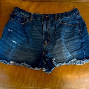 American Eagle Outfitters Distressed Blue Jean Shorts
